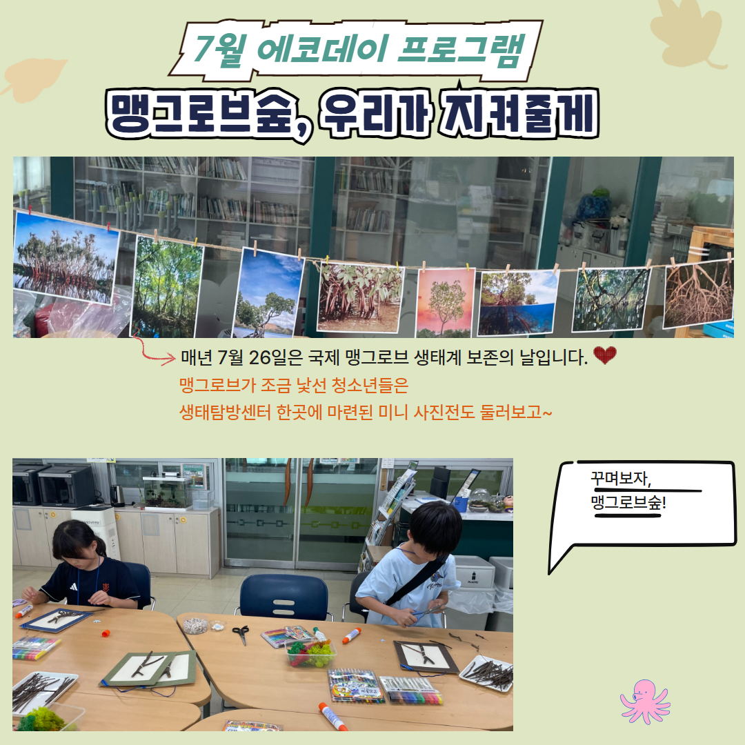 [7월 2차 에코데이]맹그로브숲, 우리가 지켜줄게! 이미지